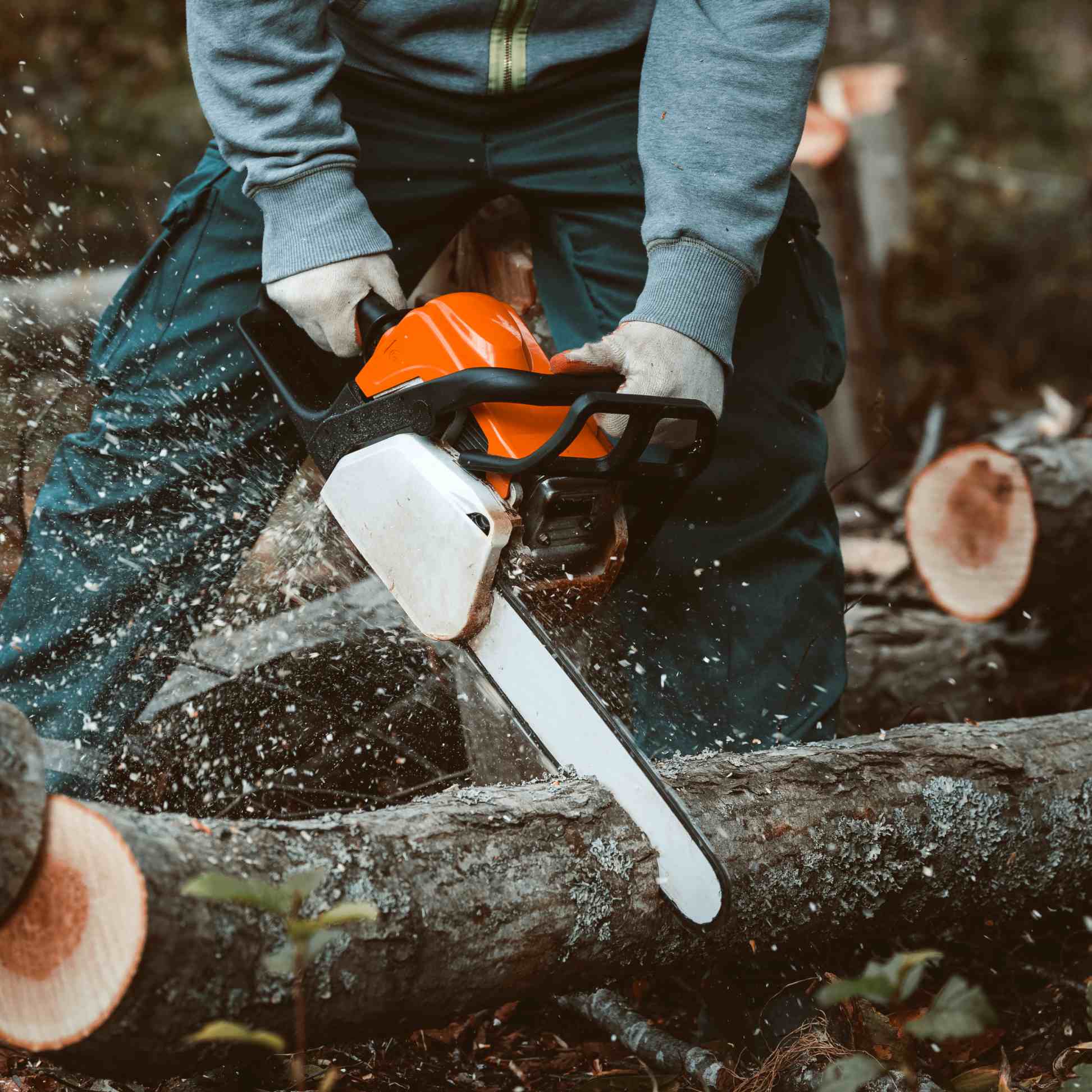 a man sawing a tree with a chainsaw harrodsburg ky