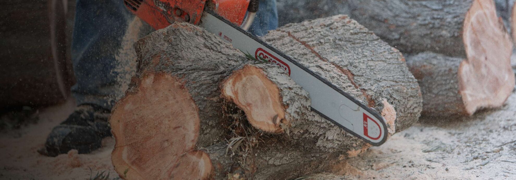 cutting a small tree using a chainsaw in harrodsburg ky