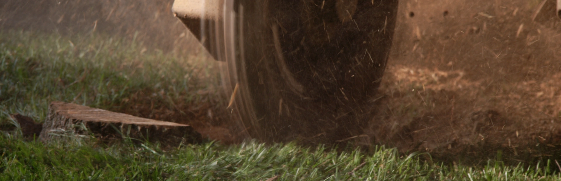 Stump Grinding & Removal breadcrumb