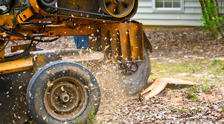 Stump Grinding