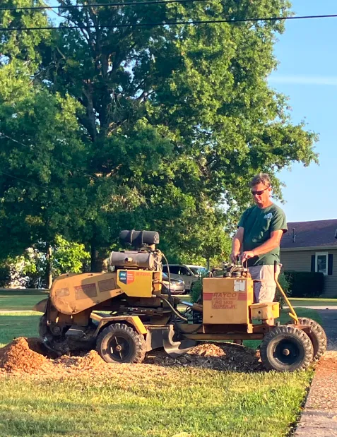 A worker operating a yellow commercial stump grinder machine on a sunny lawn surrounded by woodchips, by Jamie's Stump Grinding in Harrodsburg KY