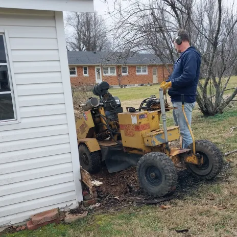 Emergency tree removal