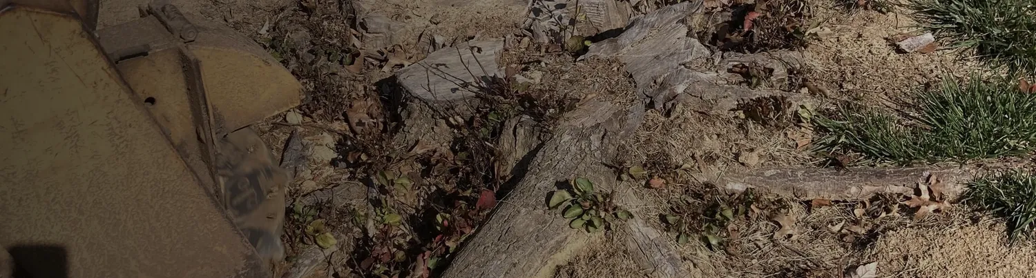 Overhead close up of a tree stump being ground down into woodchips and soil, by Jamie's Stump Grinding in Harrodsburg KY