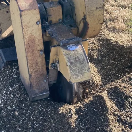 Stump Removal